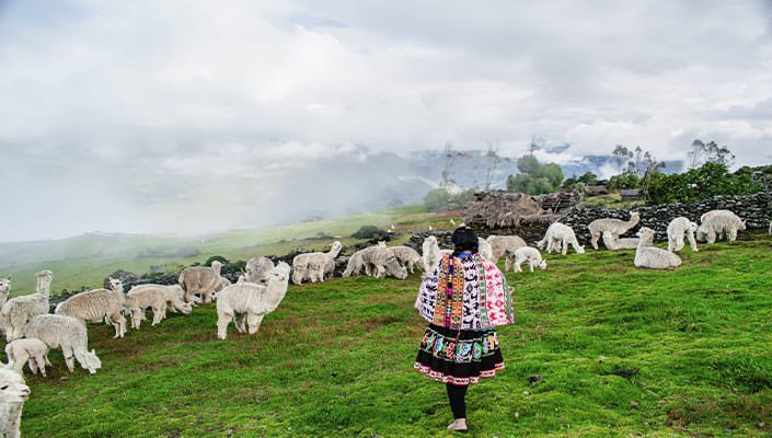 local people in lares